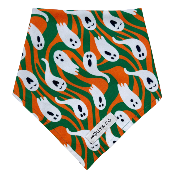 Spooky - Reversible Dog Bandana