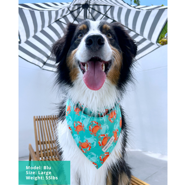 Crab Catch - Dog Bandana