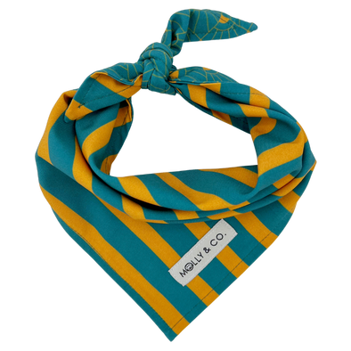 Cosmo Stripes - Reversible Dog Bandana