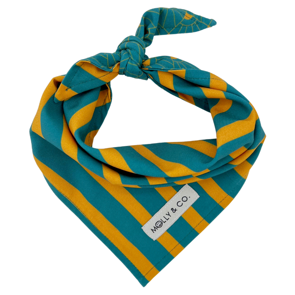 Cosmo Stripes - Reversible Dog Bandana