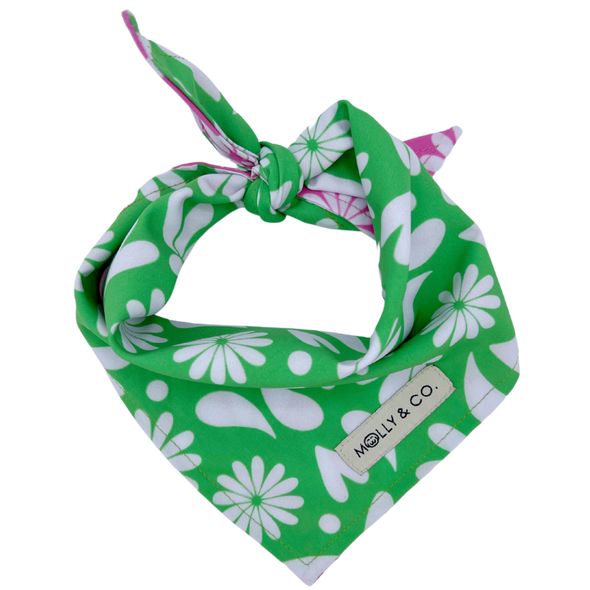 Petals - Reversible Dog Bandana