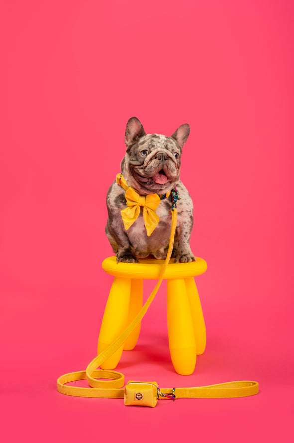 Sunshine Velvet - Dog Sailor Bowtie