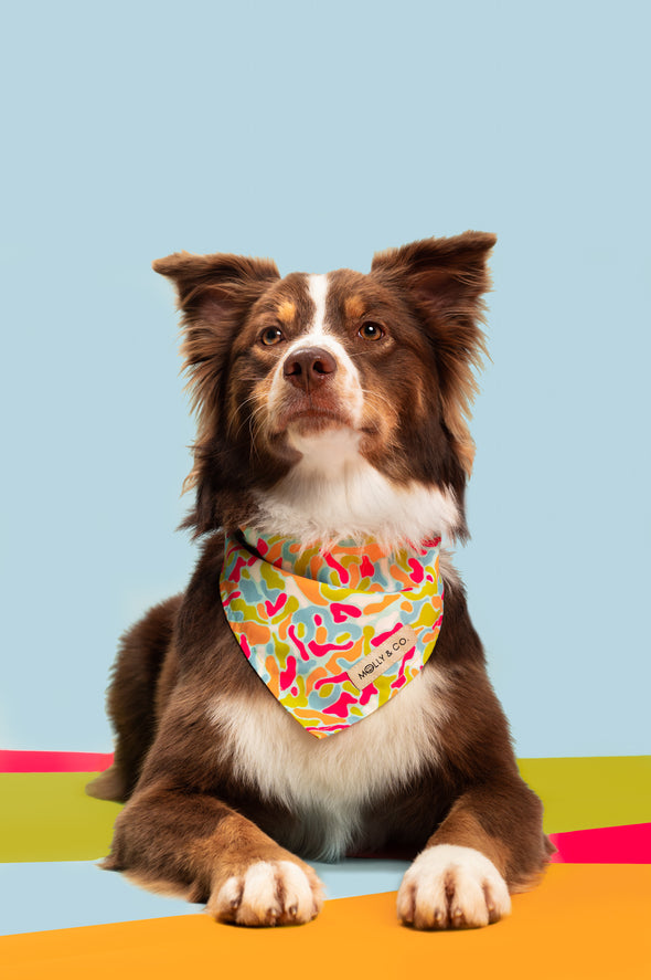 Molly Jam - Dog Bandana - FINAL SALE