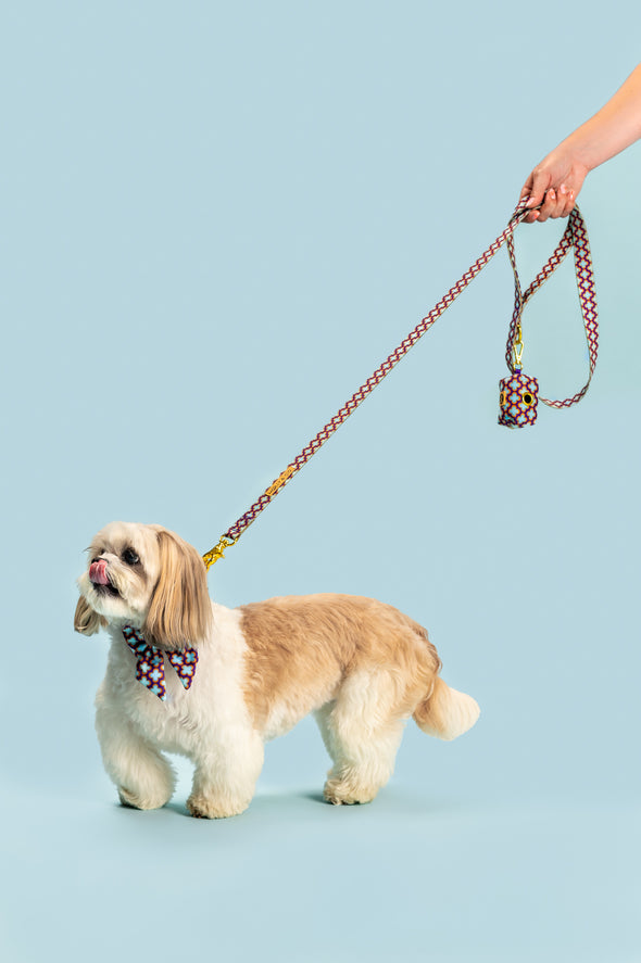 Florentino - Dog Leash - FINAL SALE