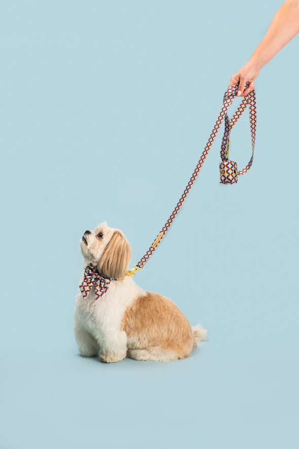 Florentino - Dog Leash - FINAL SALE