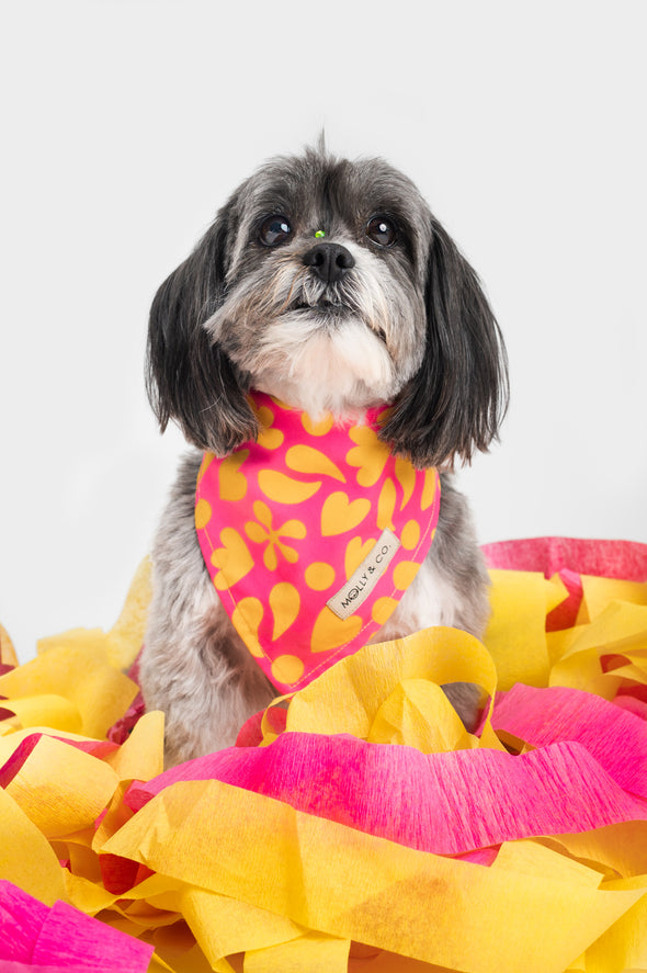 Sunny Vibes - Reversible Dog Bandana