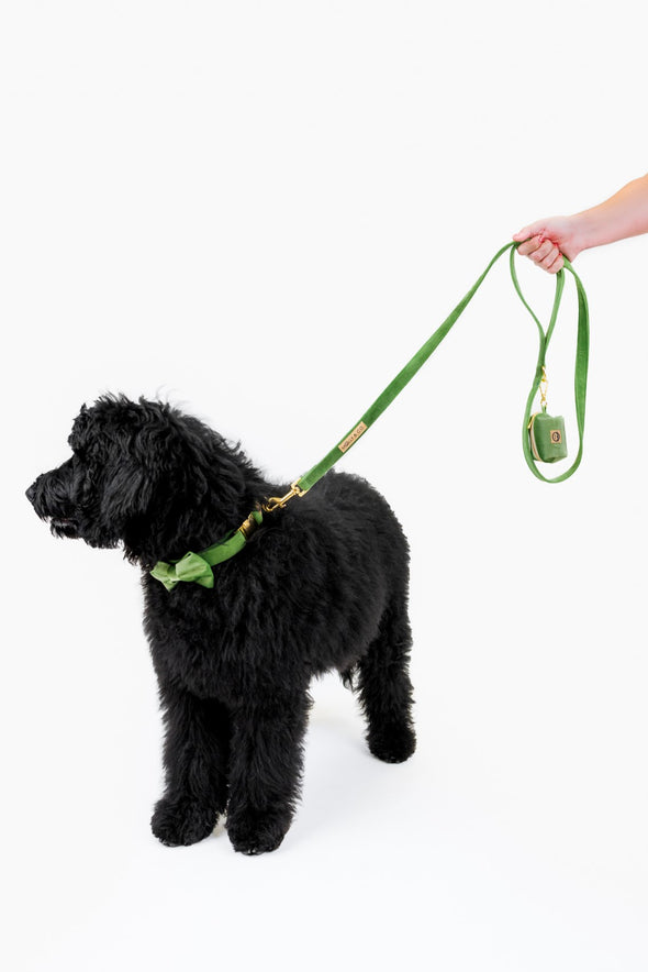 Fern Velvet - Dog Leash