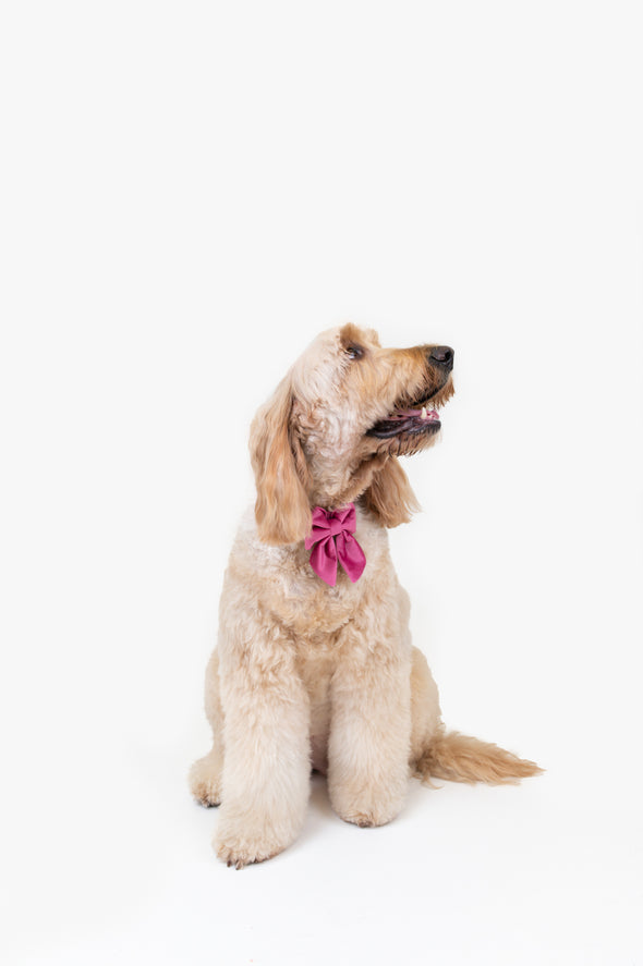 Rose Velvet - Dog Sailor Bowtie