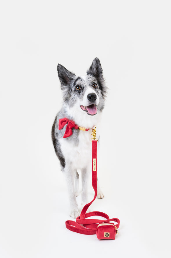 Scarlet Velvet - Dog Collar