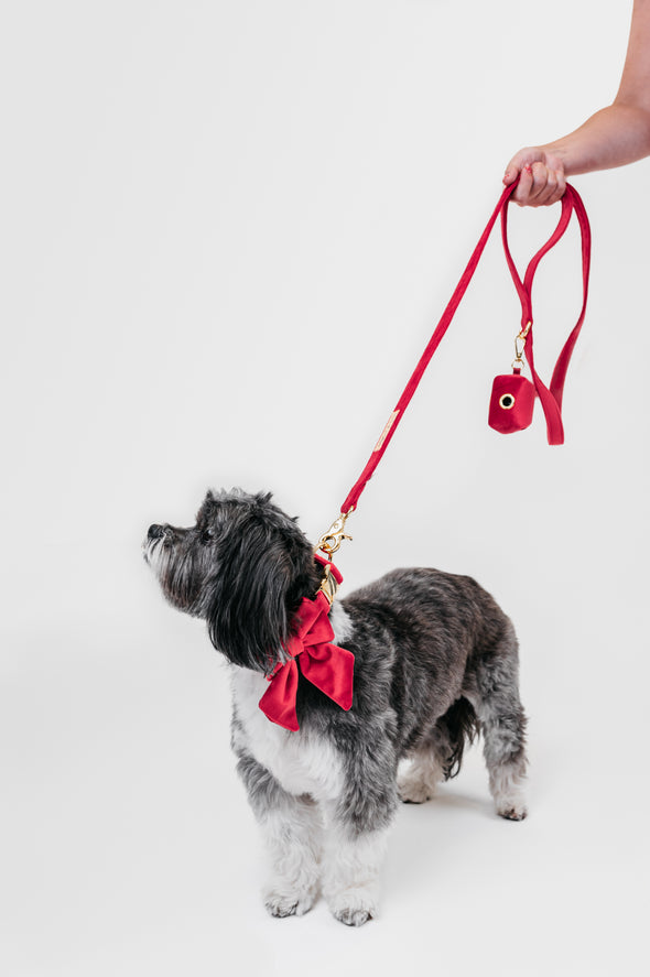 Scarlet Velvet - Dog Leash