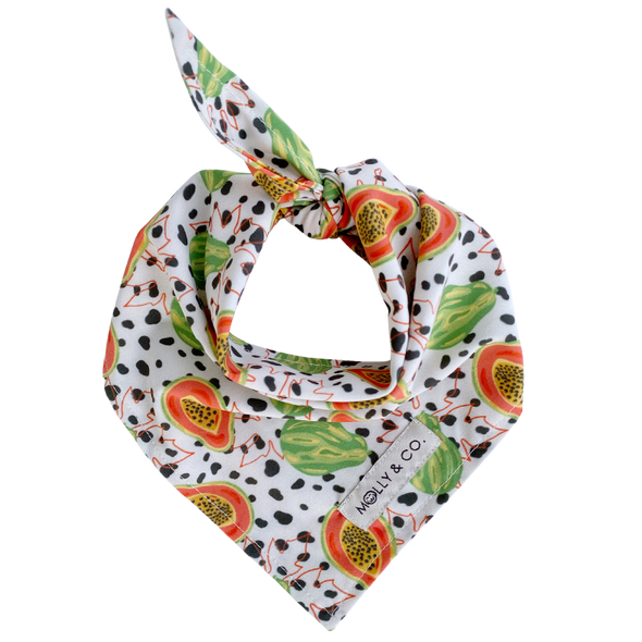 Papaya Mamaya - Dog Bandana - FINAL SALE