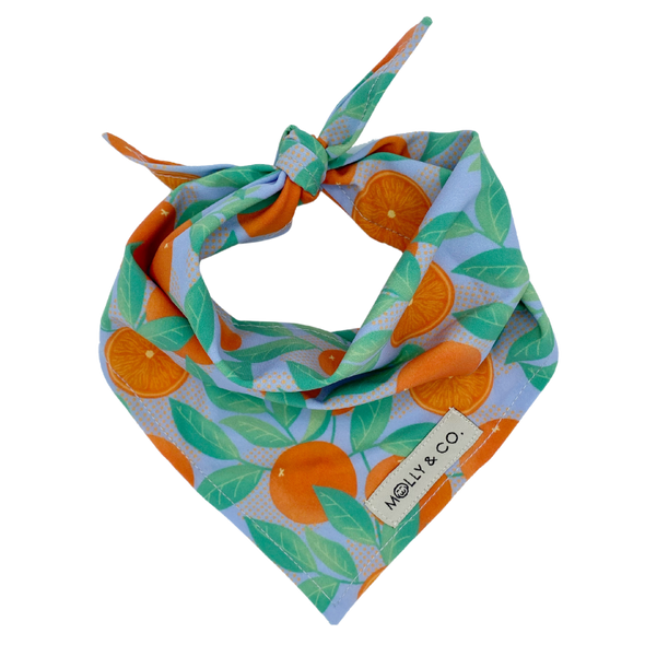 Orange is the New Bark - Dog Bandana - FINAL SALE