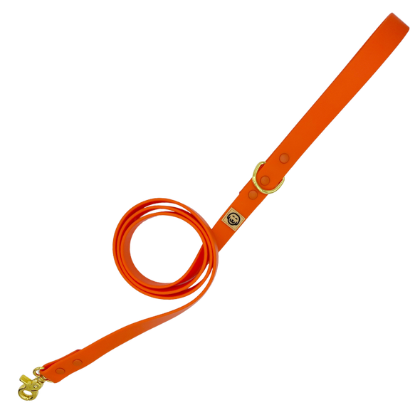 Vivid Orange - Splashproof Dog Leash