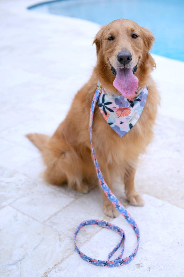 Always in Bloom - Dog Bandana