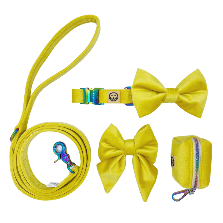 Deluxe Bundle - Sunshine Velvet