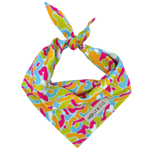 Molly Jam - Dog Bandana - FINAL SALE