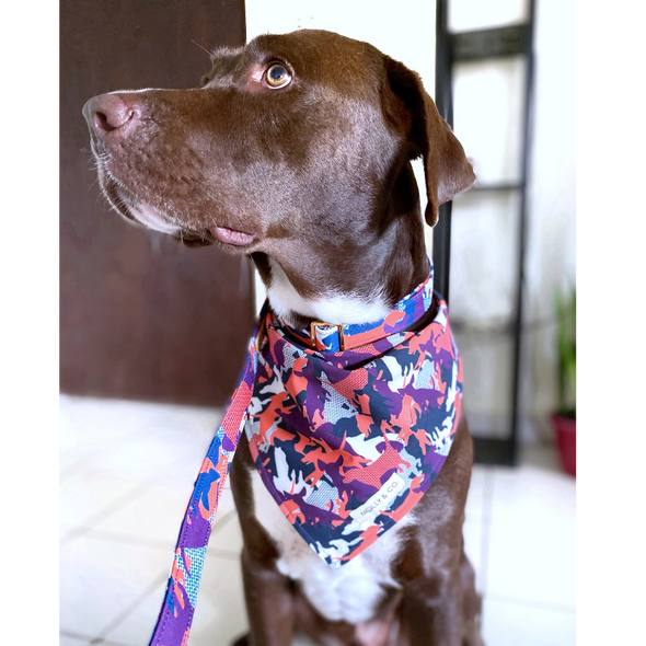 CamoDogz - Dog Bandana - FINAL SALE