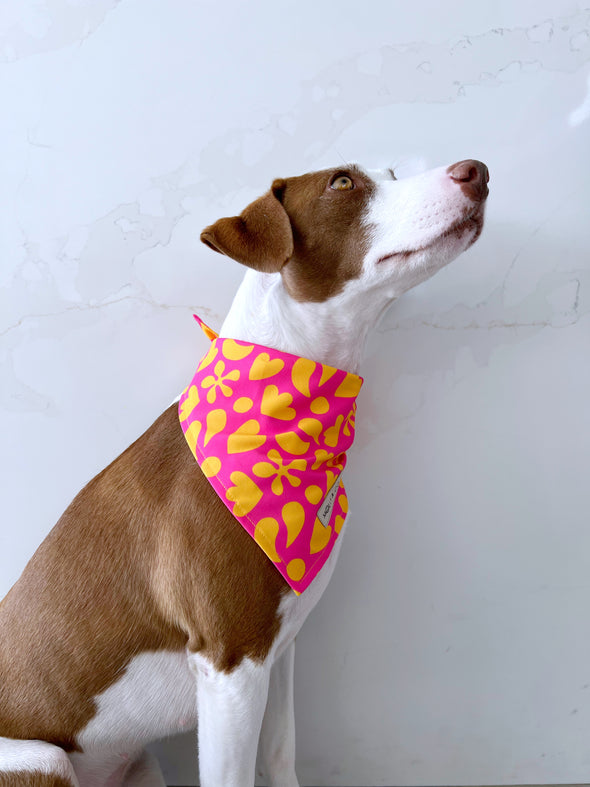 Sunny Vibes Dog Bandana Molly Co