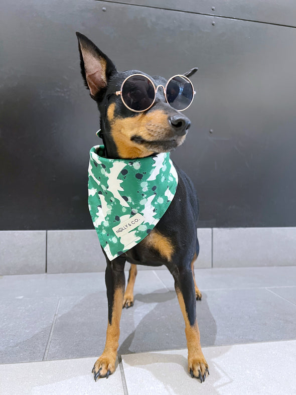 Spooky - Reversible Dog Bandana