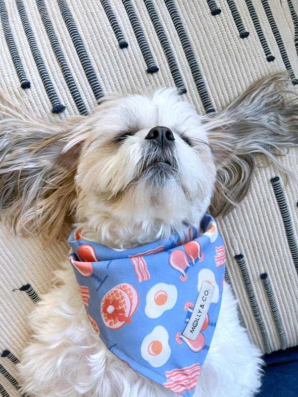 Brunch - Dog Bandana