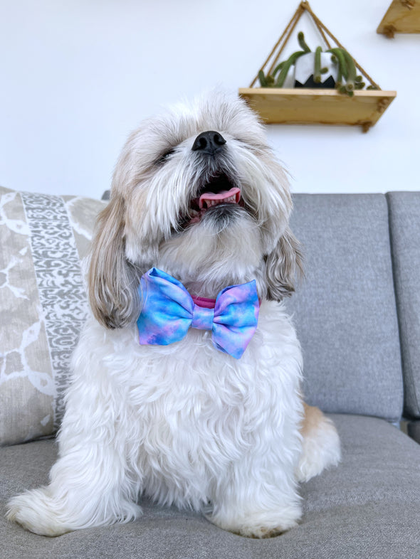 Cotton Candy Dreams - Dog Bowtie - FINAL SALE