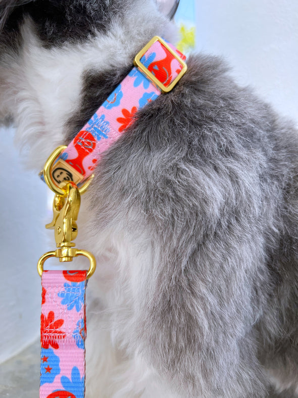 Be Happy - Dog Leash - FINAL SALE