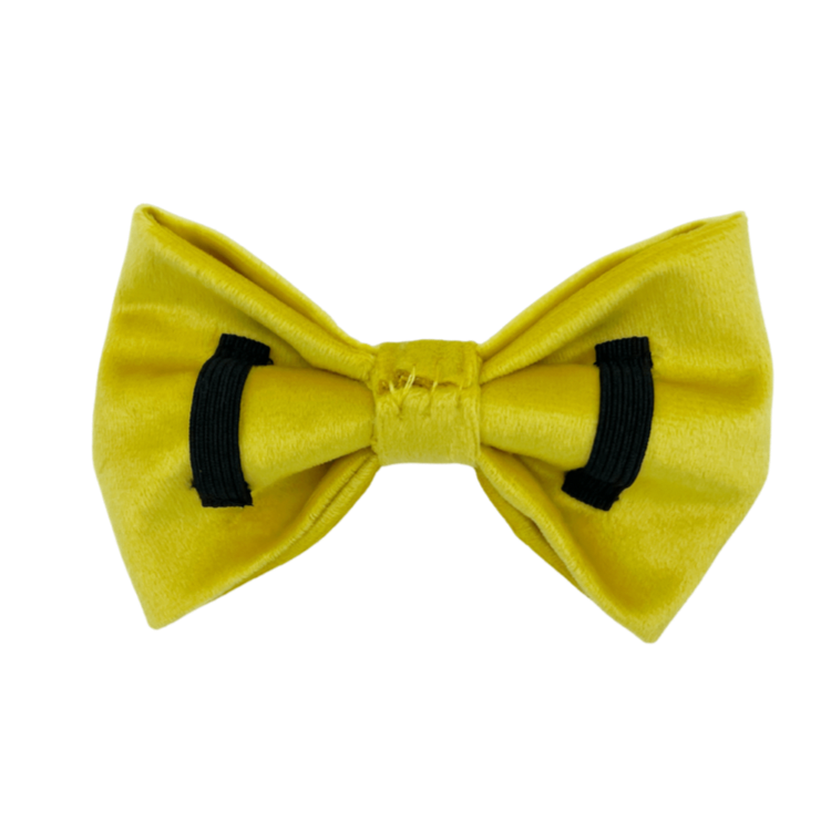 Sunshine Velvet - Dog Bowtie