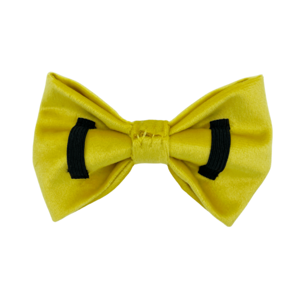 Sunshine Velvet - Dog Bowtie