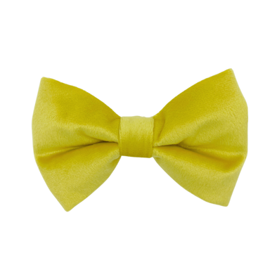 Sunshine Velvet - Dog Bowtie