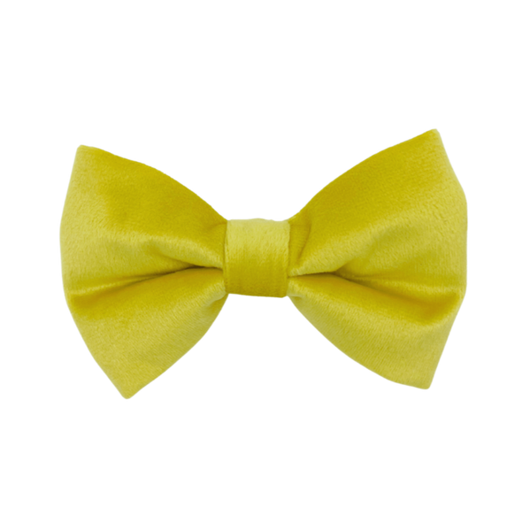 Sunshine Velvet - Dog Bowtie