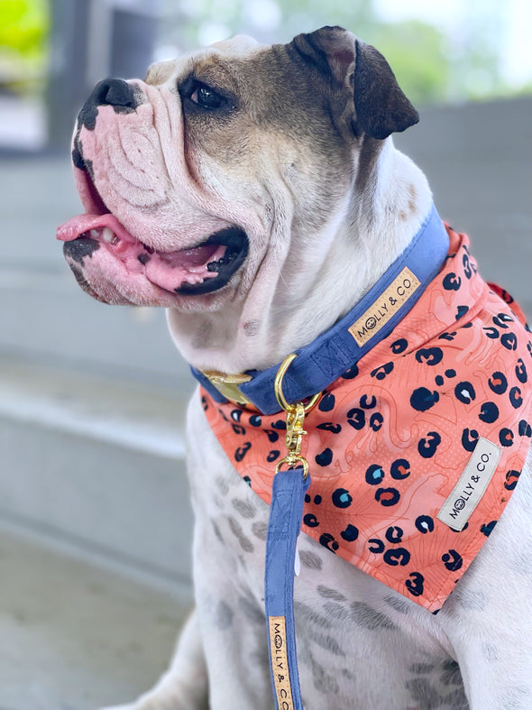 Beloved Animal Print - Dog Bandana - FINAL SALE