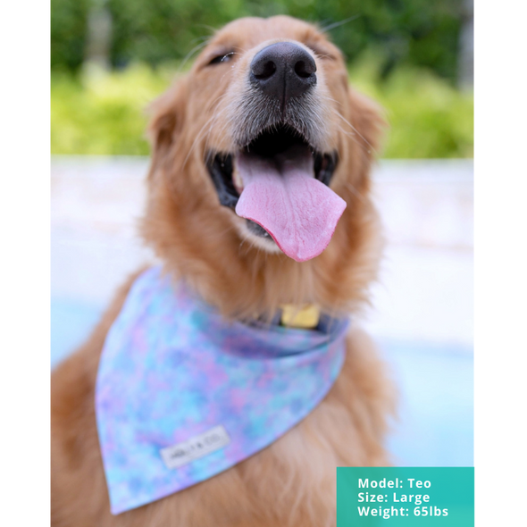 Cotton Candy Dreams - Dog Bandana - FINAL SALE